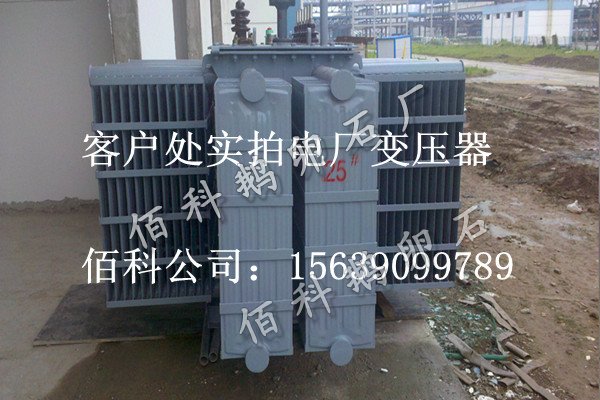 客戶想要購買齊全的水處理鵝卵石到哪里去？