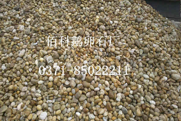 在哪里可以買到鋪路用天然鵝卵石？