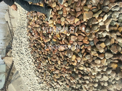 近段鵝卵石價(jià)格怎樣？